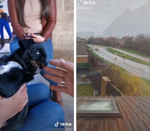 10 phút lướt TikTok, một thế giới kinh hoàng hiện ra: Bạo lực, tình dục và những nội dung xấu đội lốt video vô hại-6
