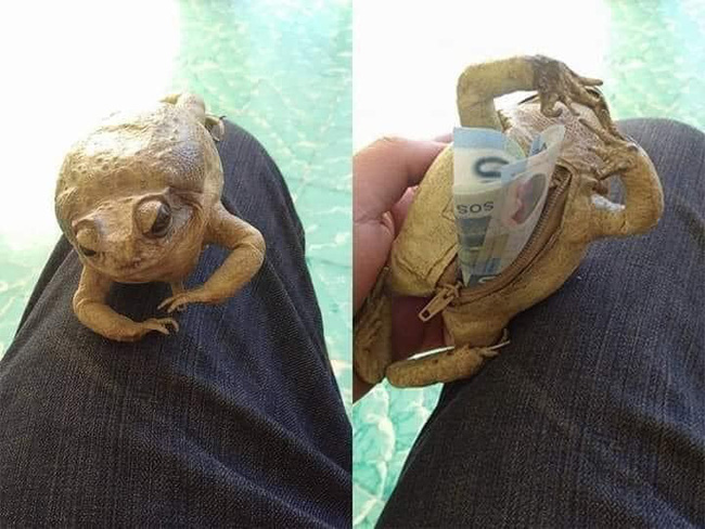 Các đức ông chồng bày nhau cách giấu quỹ đen cực ảo diệu, chắc hẳn chị em nghe xong ai cũng ngỡ ngàng-1