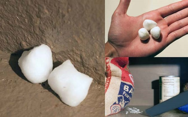 Mẹ giã tỏi rải góc bếp, tưởng điều gì bí hiểm hóa ra là chiêu bà đuổi sạch đám chuột hôi hám-6