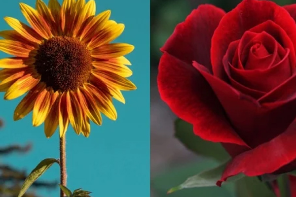 Quý cô sinh vào tháng âm lịch sau, bước sang tháng 7 cô hồn tìm được cơ hội đổi vận đổi đời, tiền tài lẫn sự nghiệp bùng nổ rực rỡ-4