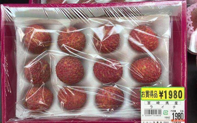 Sang Nhật thấy một cây bèo giá 21.000 đồng, cô gái gọi mẹ: Xem thôi không có tiền mua đâu-2