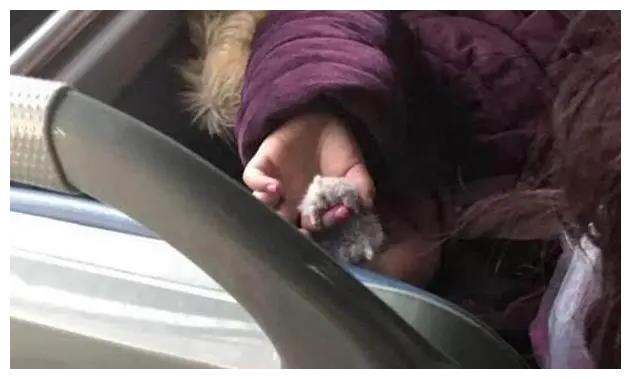 Cách hành xử của một bé gái 4 tuổi trên xe buýt khiến hành khách phải run sợ: Tuổi còn nhỏ mà sao dã man vậy?-3