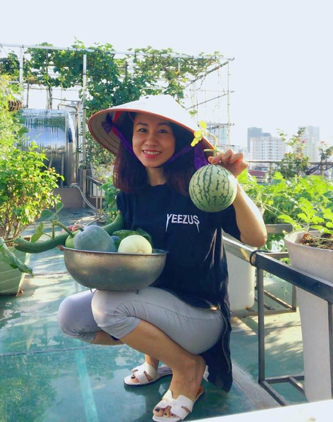 Choáng với trang trại nuôi trồng thập cẩm trên nóc nhà giữa Thủ đô-10