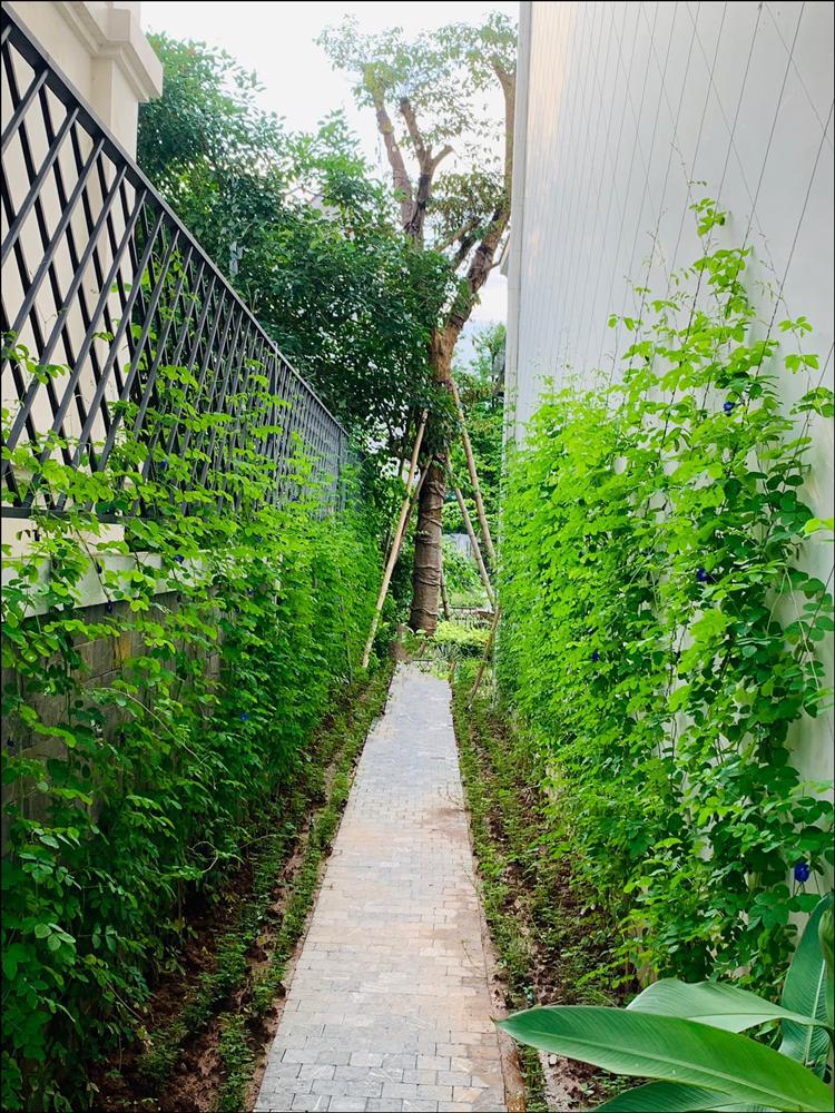 Lã Thanh Huyền hé lộ không gian biệt thự mới 350m vuông, ai cũng trầm trồ vì quá hoành tráng-16