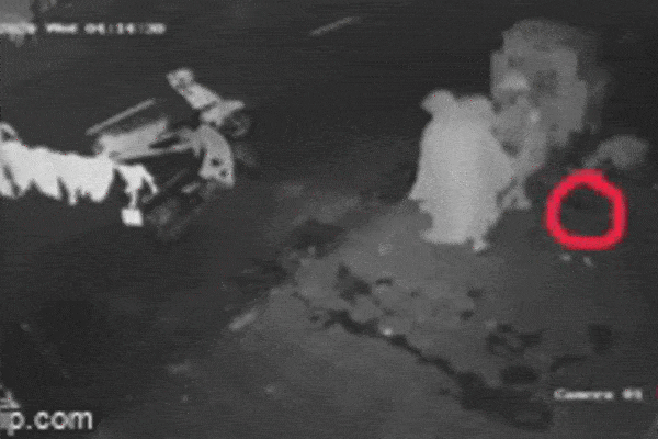 Pha trộm chậu rau cồng kềnh của 2 người phụ nữ, chủ nhà mất của, check camera mà không nhịn được cười