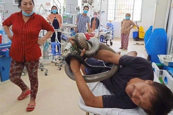 Tự chữa rắn cắn khiến nam thanh niên 27 tuổi hoại tử bàn tay-2