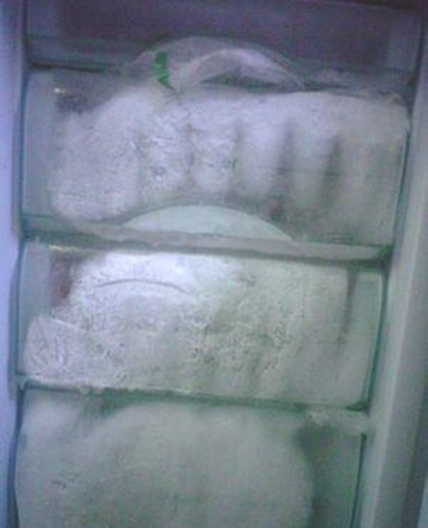 Tủ lạnh bị đóng đá ngăn mát, cho ngay bát nước này vào chỉ vài phút sau hiệu quả đáng kinh ngạc-1