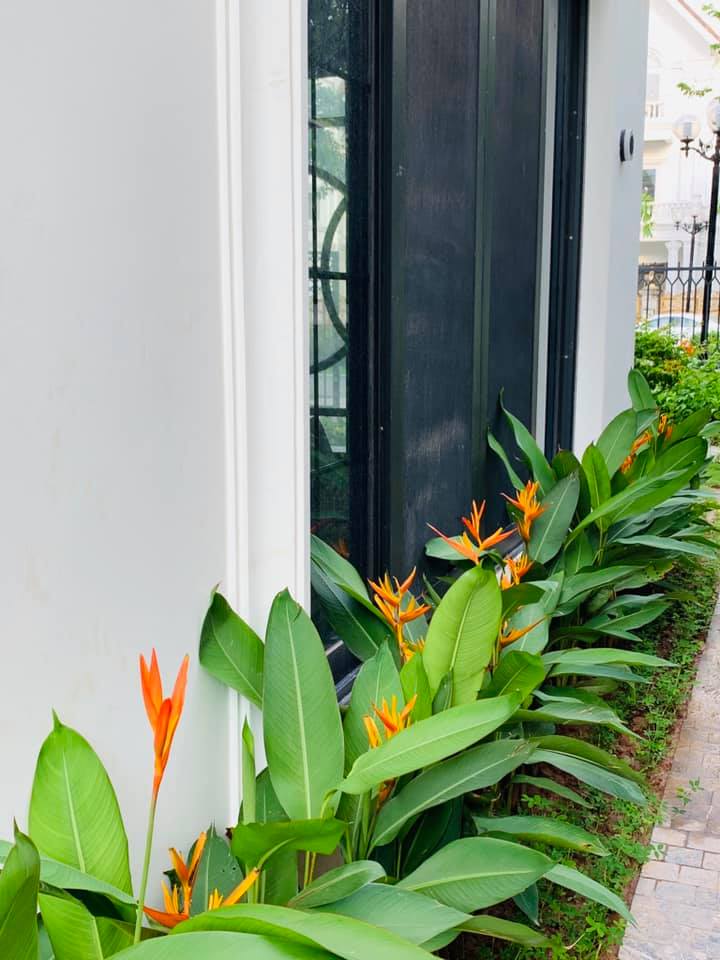 Lã Thanh Huyền hé lộ không gian biệt thự mới 350m vuông, ai cũng trầm trồ vì quá hoành tráng-14