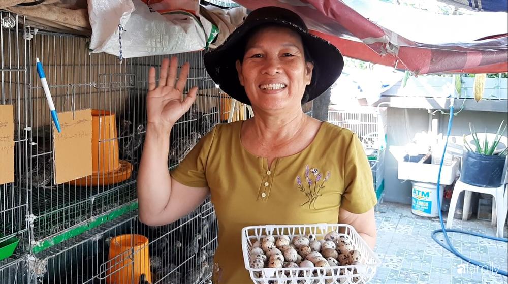 Nông trại chăn nuôi chim cút và trồng đầy cây trái trên sân thượng 90m² của con trai làm để tặng mẹ ở Sài Gòn-7