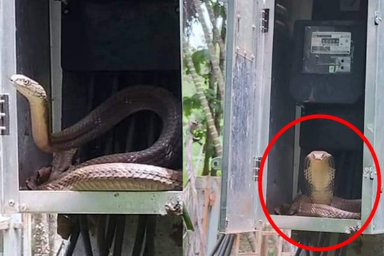 Phút hoảng hồn khi mở tủ điện: Bé Na nằm cuộn bên trong, 