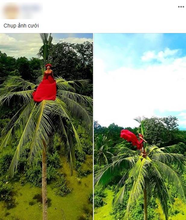 Chụp ảnh cưới studio xưa rồi, trèo lên ngọn dừa cao chót vót để bung lụa mới là hot hòn họt và không bao giờ lo đụng dáng!-1