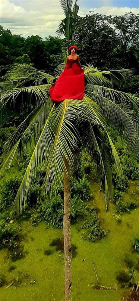 Chụp ảnh cưới studio xưa rồi, trèo lên ngọn dừa cao chót vót để bung lụa mới là hot hòn họt và không bao giờ lo đụng dáng!-2