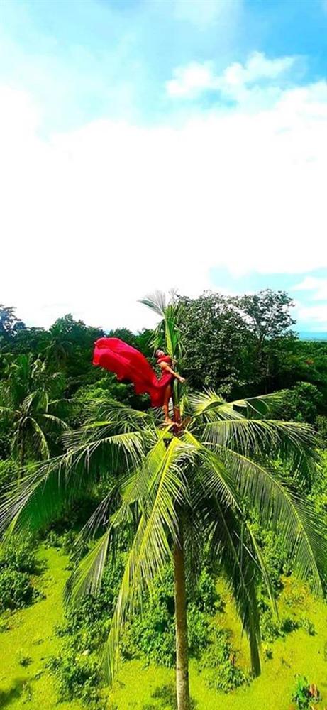 Chụp ảnh cưới studio xưa rồi, trèo lên ngọn dừa cao chót vót để bung lụa mới là hot hòn họt và không bao giờ lo đụng dáng!-3