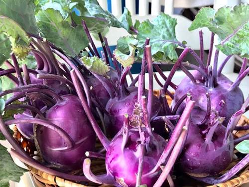 Mẹ đảm Sài Gòn trồng rau sân thượng tốt um như... rau quả đột biến-5