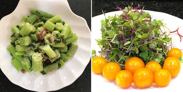 Mẹ đảm Sài Gòn trồng rau sân thượng tốt um như... rau quả đột biến-12