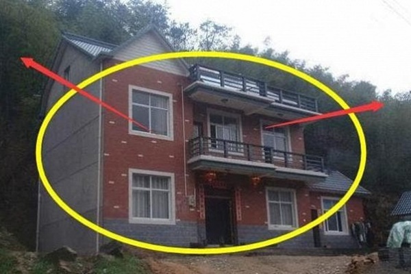 Cấm kỵ phong thủy: Không nên đặt cây lưỡi hổ” bừa bãi, đặt đúng vị trí sẽ giúp bảo vệ ngôi nhà và phát tài-8