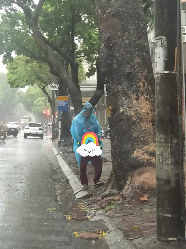 Đang ngồi trong nhà, người đàn ông mặc áo mưa ra gốc cây giữa phố cổ sửa khóa quần-1