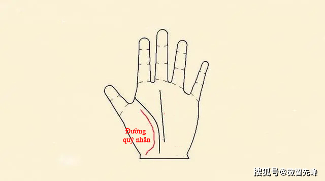 Quý cô sở hữu bàn tay này, cả đời ấm no sung túc, giỏi kiếm tiền, cuộc sống hậu vận không chỉ giàu bình thường mà là rất giàu-1