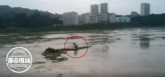 Buồn tình nên nhảy sông tự tử nhưng đến giữa chừng đổi ý, cô gái đu khúc gỗ bắt đầu hành trình trôi 81km trở về nhà-1