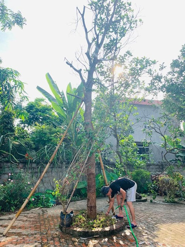Dân tình á ố” vì nhà vườn rộng 1.300 m2 của diễn viên Hồng Đăng, cơ ngơi bạc tỷ phục vụ mục đích giản dị bất ngờ-6