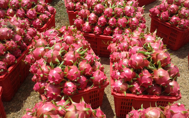 Biến động bên Tây, trái cây Việt gặp khó dội chợ, rẻ như rau-1