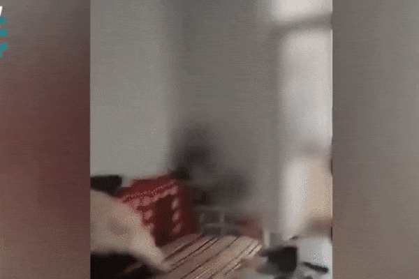 Vụ bố ném con trai hơn 2 tuổi xuống ghế tử vong: Nguyên nhân người mẹ đứng yên quay video được tiết lộ nhưng dư luận vẫn phẫn nộ-2