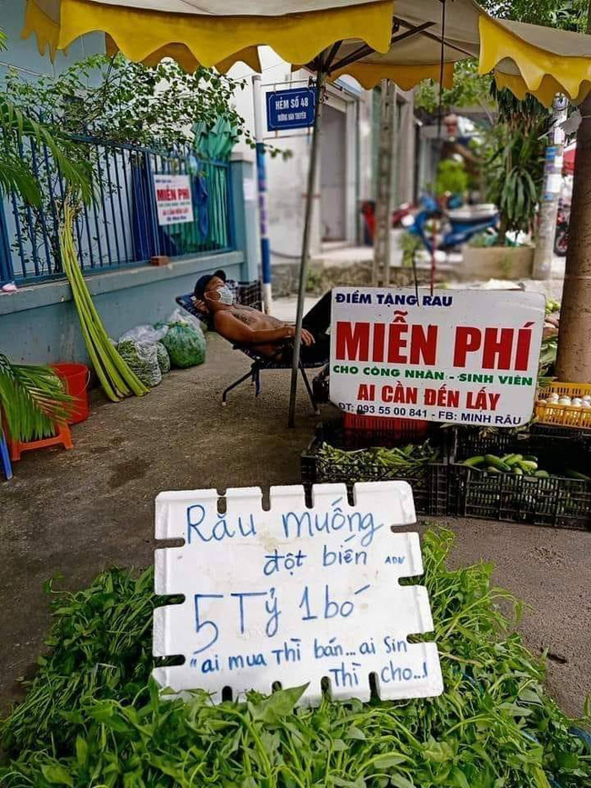 Khịa lan đột biến tiền tỷ, người đàn ông treo bảng bán rau muống đột biến với giá 5 tỷ một bó, đáng chú ý là câu cuối tấm bảng-1