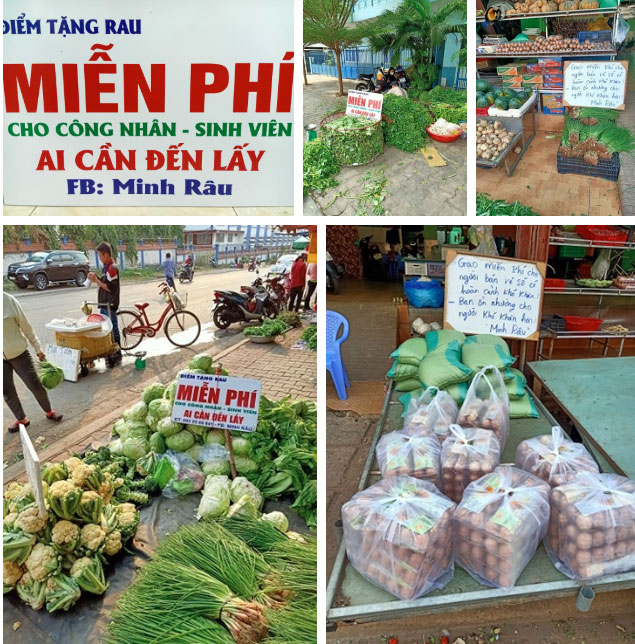 Khịa lan đột biến tiền tỷ, người đàn ông treo bảng bán rau muống đột biến với giá 5 tỷ một bó, đáng chú ý là câu cuối tấm bảng-3
