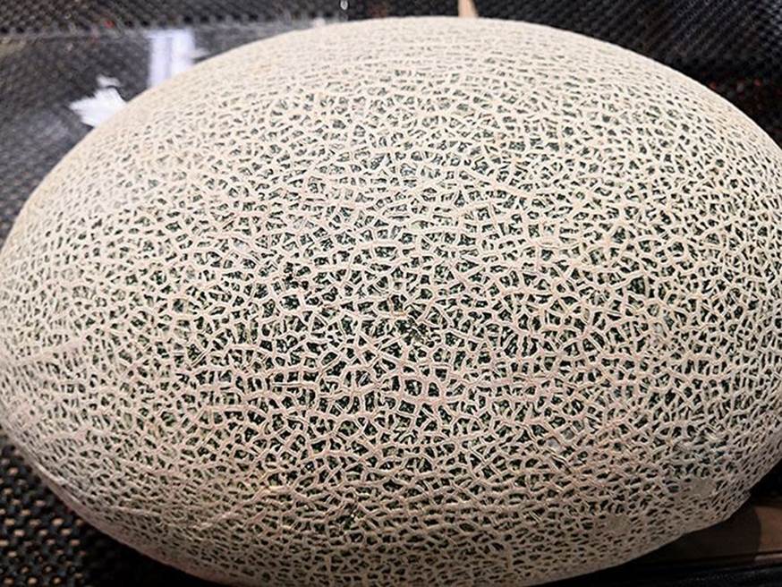 Mua dưa lưới, sờ thấy điều này trên vỏ chứng tỏ quả ngon nên chọn ngay-2