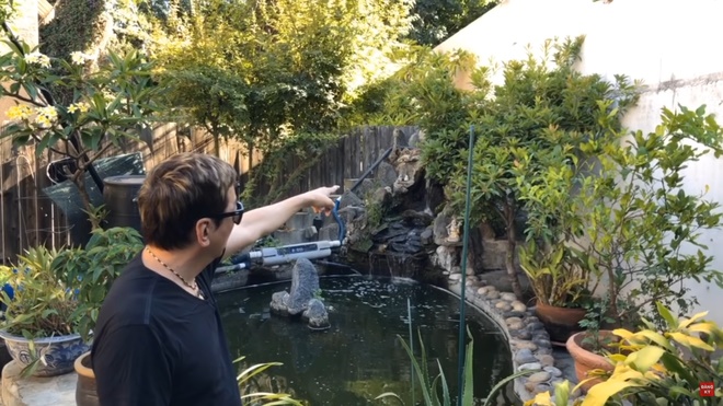 Trường Vũ tự hái rau, khoe vườn nhà rộng rãi bên Mỹ-1