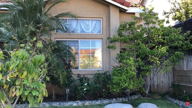 Trường Vũ tự hái rau, khoe vườn nhà rộng rãi bên Mỹ-4