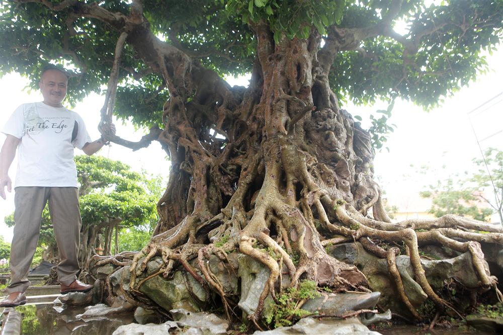 Báu vật ẩn mình có tuổi đời 500 năm ở Hà Nội, trả 100 cây vàng không bán-6