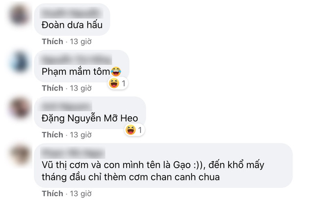 Cười mém xỉu với loạt tên của em bé được đặt theo thứ mẹ nghén lúc mang bầu: Phạm Mắm Tôm, Hoàng Thị Hành Phi-6