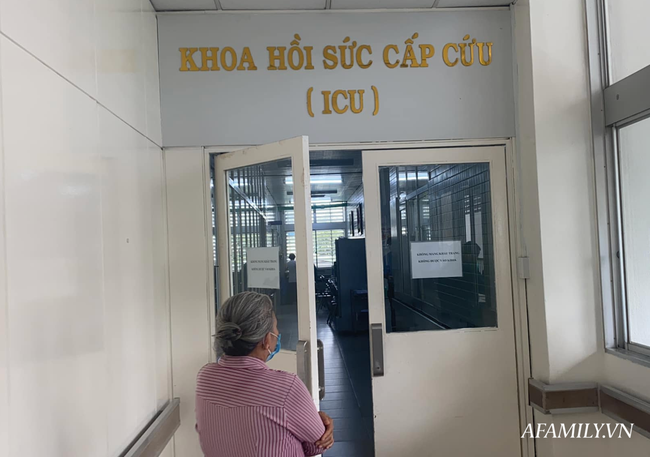 Người cha 2 con bị rắn hổ chúa 4.5kg cắn đã ổn hơn, men tim có giảm nhưng chưa nói trước được điều gì-2