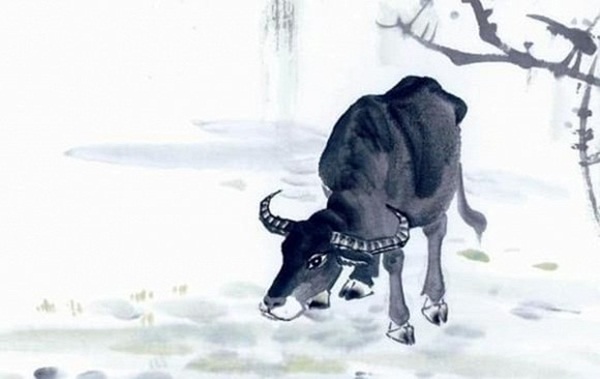 Trẻ sinh ra thuộc 3 con giáp này, xác định mệnh hoàng kim, phúc khí đầy mình, lớn lên giàu sang phú quý-3