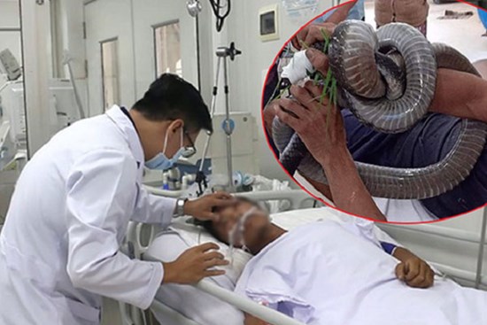 Vợ nạn nhân bị rắn cắn: 'Gia đình tôi quá khổ'