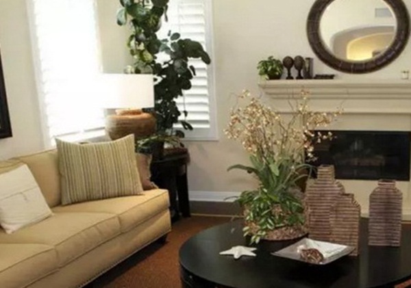 7 loại cây cảnh phong thủy trong phòng khách giúp gia chủ chiêu tài, kích lộc, gặp nhiều may mắn-2