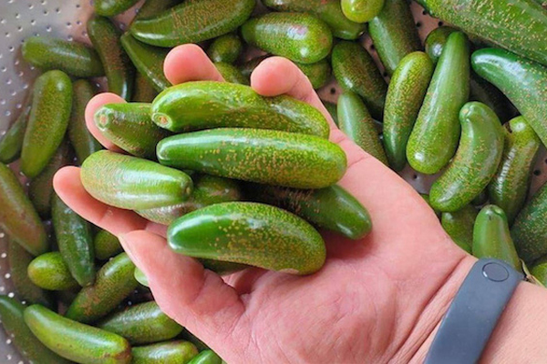 Chỉ trong 1 giờ, người dân Trung Quốc đã càn quét hết 60 tấn sầu riêng-2