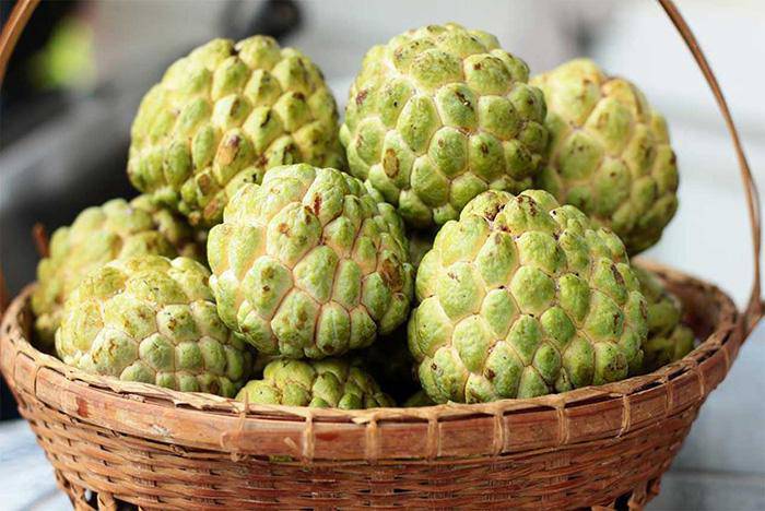 Quả na rất tốt nhưng chỉ ăn vào khung giờ này, lưu ý những người cần tránh-2