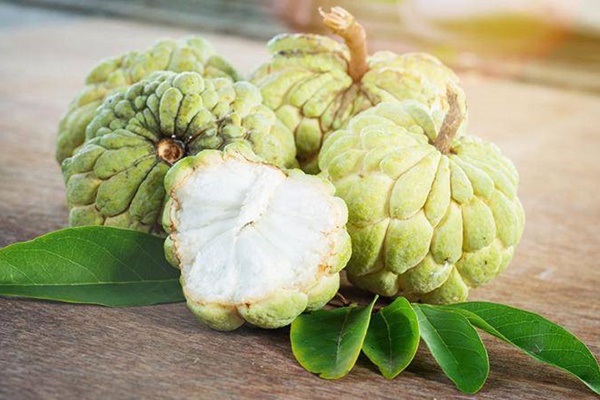 Có một loại cỏ mọc dại ở Việt Nam nhưng trị bệnh cực tốt: Vừa giúp cai nghiện thuốc lá lại là thần dược trị triệt để 7 bệnh vặt cho trẻ em, phụ nữ-6