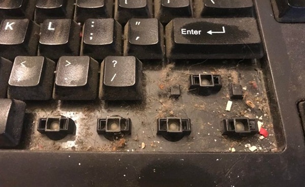 10 vật dụng mà không ai nghĩ cần phải làm sạch mỗi ngày nhưng lại dễ trở thành ổ vi khuẩn gây bệnh nhất trong nhà-5