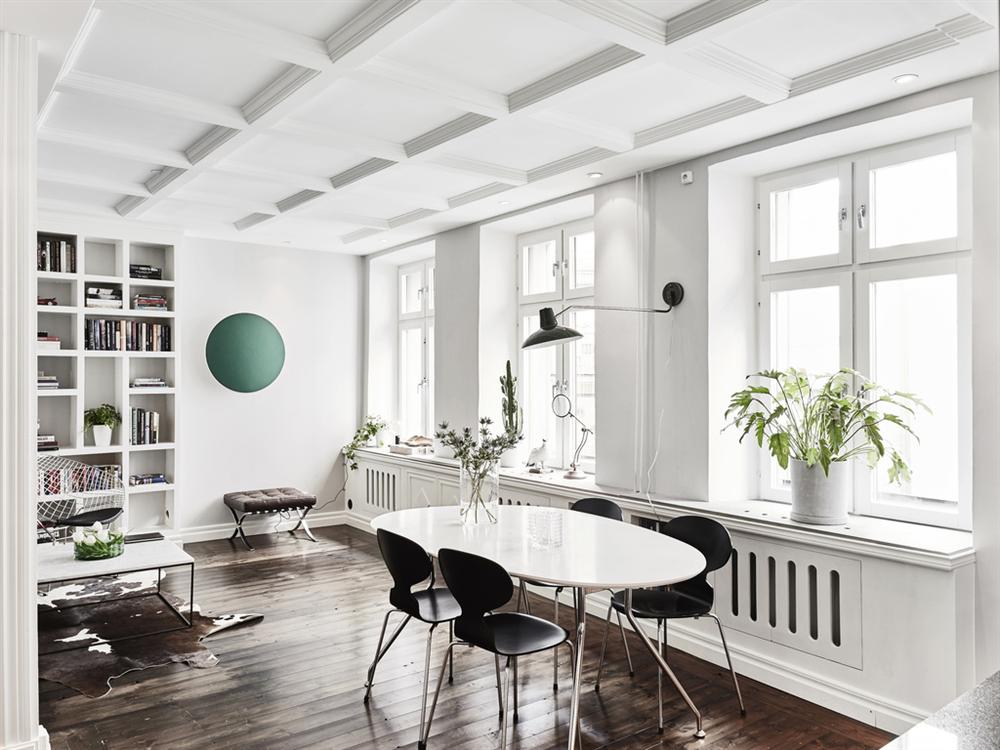 Căn hộ chất lừ” của chàng trai độc thân theo phong cách Scandinavian-1