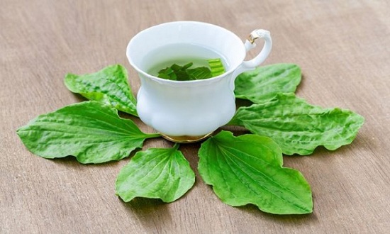 Có một loại cỏ mọc dại ở Việt Nam nhưng trị bệnh cực tốt: Vừa giúp cai nghiện thuốc lá lại là thần dược trị triệt để 7 bệnh vặt cho trẻ em, phụ nữ-5