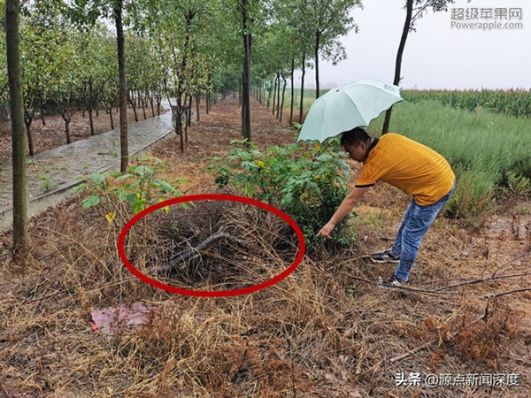 Sau 8 tháng miễn cưỡng kết hôn, cô giáo được tìm thấy chết lõa thể dưới giếng, nghi phạm dù bị bắt nhưng vụ án vẫn bế tắc 17 năm-3