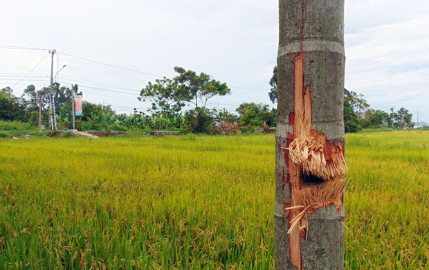 Cận cảnh hiện trường vụ nổ khiến nữ nhân viên ngân hàng tử vong-3