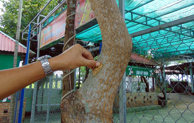 Cận cảnh hiện trường vụ nổ khiến nữ nhân viên ngân hàng tử vong-7