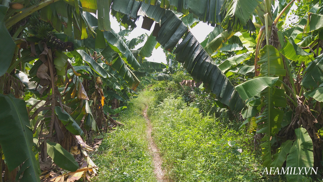 Mẹ bé gái bị gã đàn ông lạ mặt ép vào vườn chuối giở trò đồi bại: Những lời đồn khiến gia đình rất khổ sở, dự định sẽ chuyển trường cho con-1