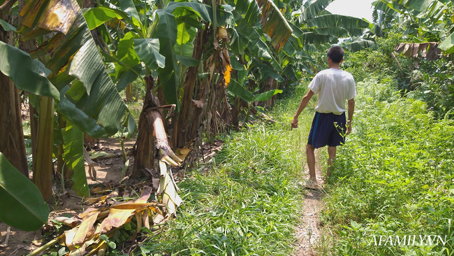 Mẹ bé gái bị gã đàn ông lạ mặt ép vào vườn chuối giở trò đồi bại: Những lời đồn khiến gia đình rất khổ sở, dự định sẽ chuyển trường cho con-4