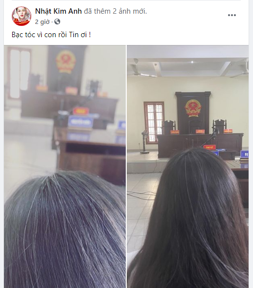 Nhật Kim Anh tiếp tục hầu tòa giành quyền nuôi con, tóc đã bạc nhiều vì vụ kiện-1