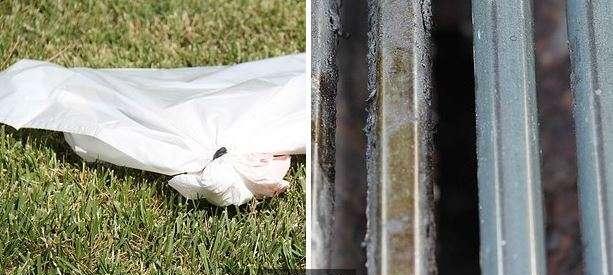Tuyệt chiêu nhỏ nhưng có võ khiến tất tần tật đồ trong nhà sạch bong như mới-8